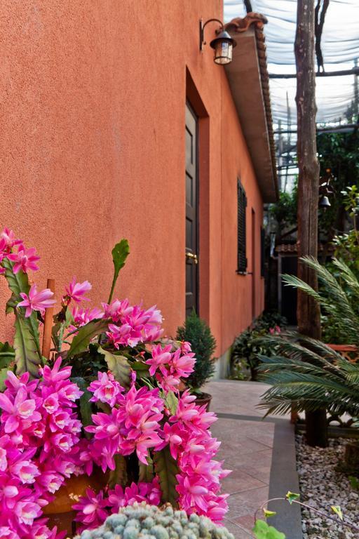 La Maison De Titty & Margherita Piano di Sorrento Dış mekan fotoğraf