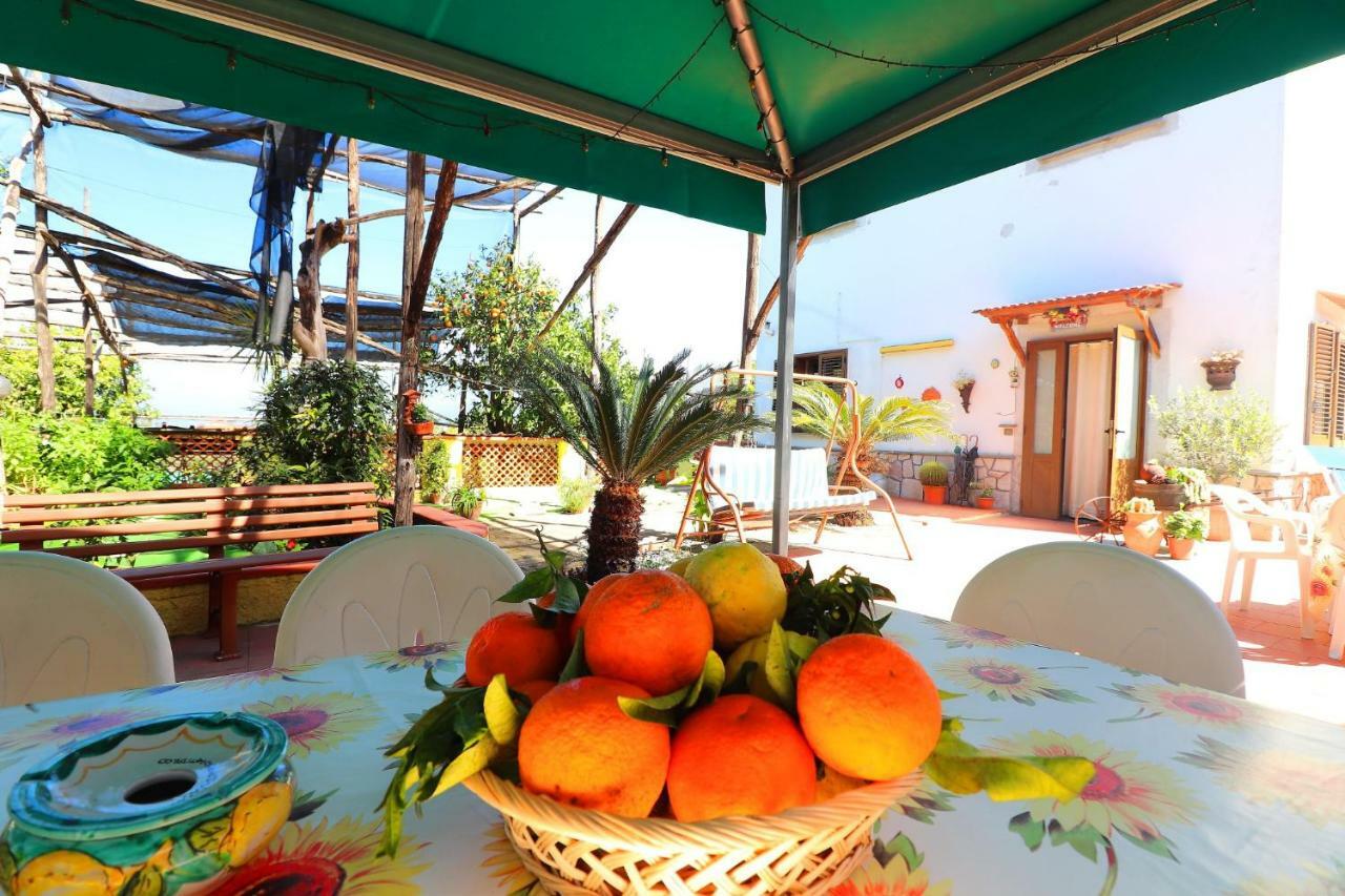 La Maison De Titty & Margherita Piano di Sorrento Dış mekan fotoğraf